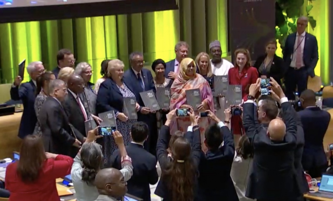 World’s leading health and development organisations launch SDG3 Global Plan and commit to GH5050 methods